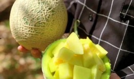 娱乐吃瓜钓鱼,钓鱼揭秘幕后故事