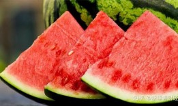 免费吃瓜教程,揭秘网络免费美食分享秘籍